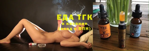 индика Абинск