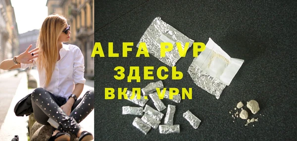 индика Абинск