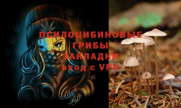 Альфа ПВП Щигры
